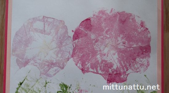 たたき染めの方法は？朝顔で実体験しわかった失敗しない5つのコツも